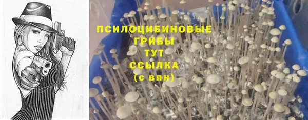 соль курить ск Сосновка