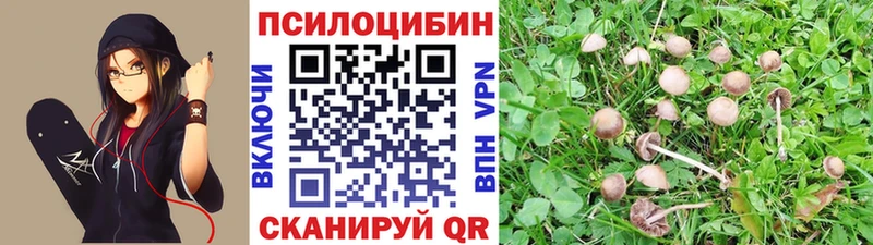 Галлюциногенные грибы прущие грибы  как найти закладки  Асино 