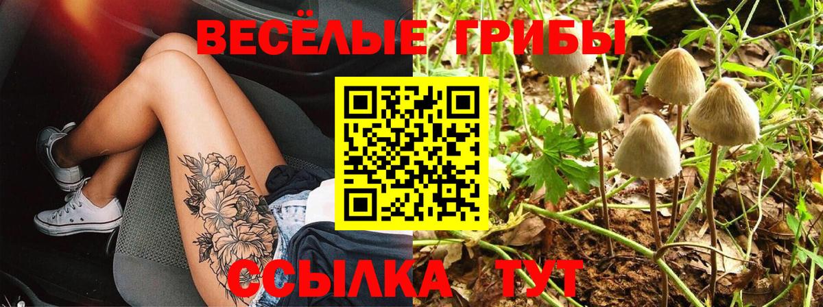 Галлюциногенные грибы мухоморы  Вход с VPN  Псилоцибиновые грибы GOLDEN TEACHER  Асино 