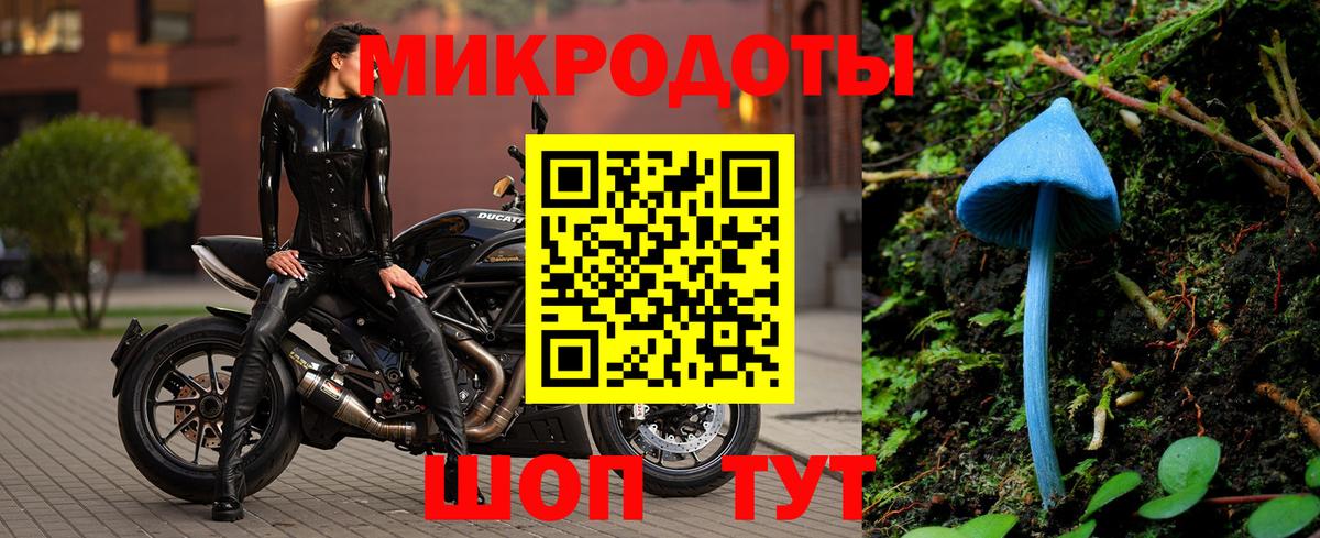 Галлюциногенные грибы прущие грибы Асино